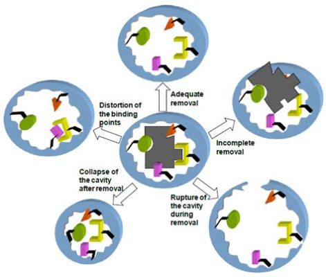 Biosorbenttimateriaalit – Uusi Aalto Jätteenpuhdistuksessa ja Ympäristönsuojelussa?