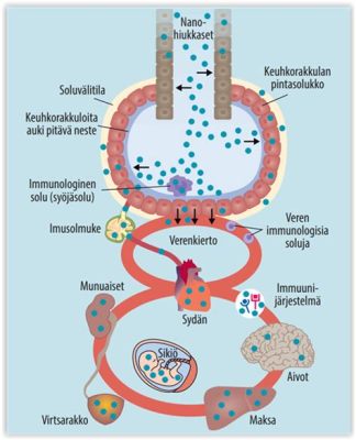  Wolframin Nanomateriaalit: Tehokkaita Katalyyttejä ja Korkeamman Energian Varastajia!